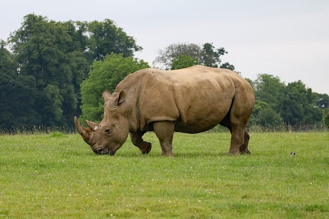 10- Day Journey Through the Best Nature Reserves of East Africa